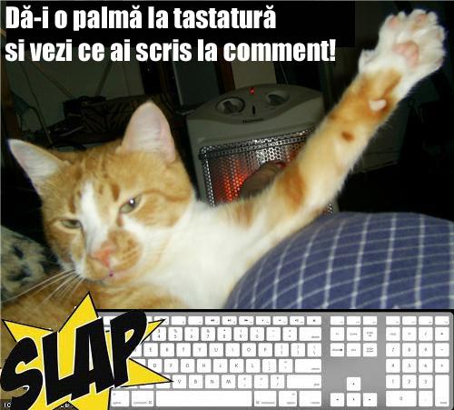 Slap Keyboard