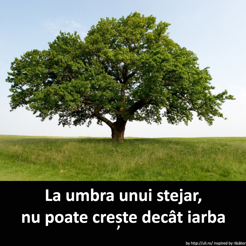 bau